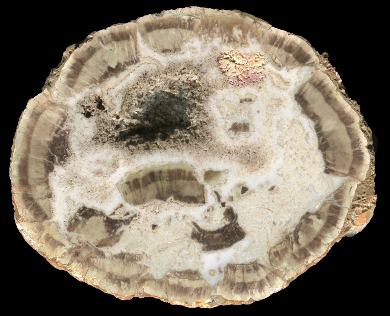 Narrabri Thunderegg with White Core