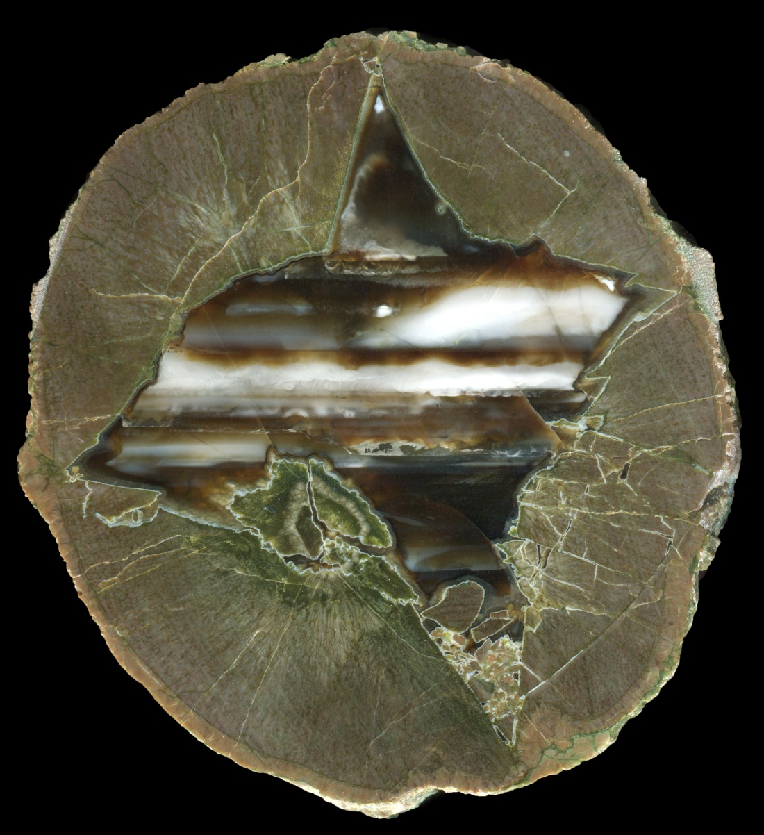 Black Dome Thunderegg with Waterline Agate