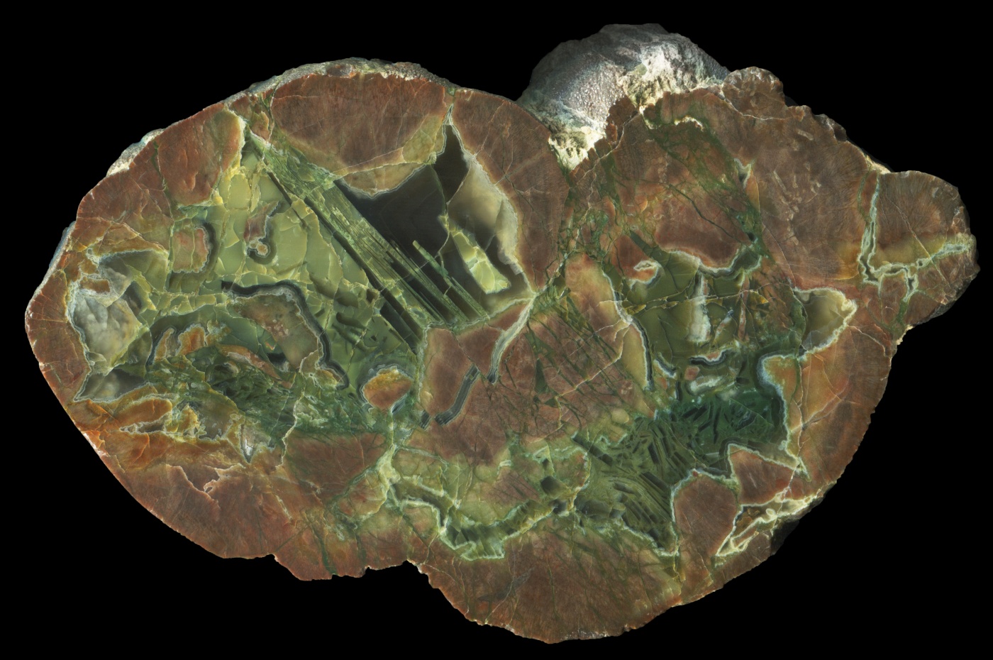 Black Dome Thunderegg with Dense Mineralisation