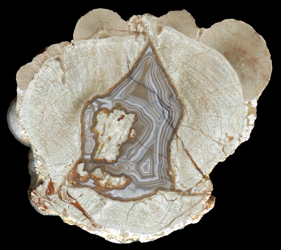 Mt Lyall Thunderegg with Banded Agate