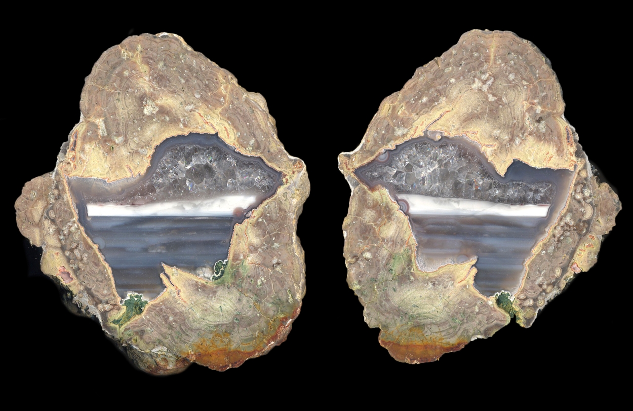 Fallen Tree Thunderegg Pair with Leveling Lines