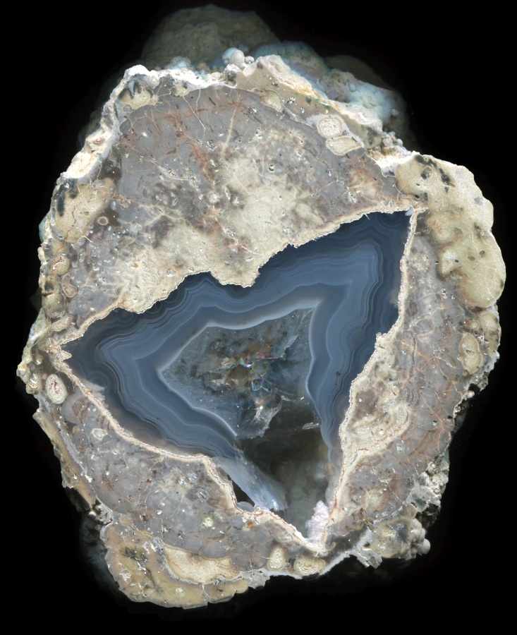 Sharp Fallen Tree Thunderegg with Amethyst and a Negative Crystal Cast