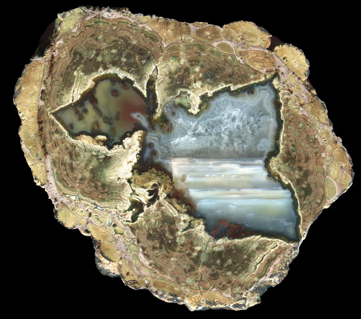 Beautiful Fallen Tree Thunderegg with Pastel Colours and Waterline Agate