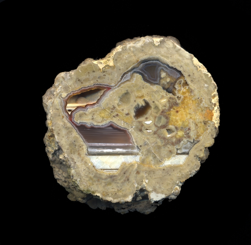 T&T Thunderegg