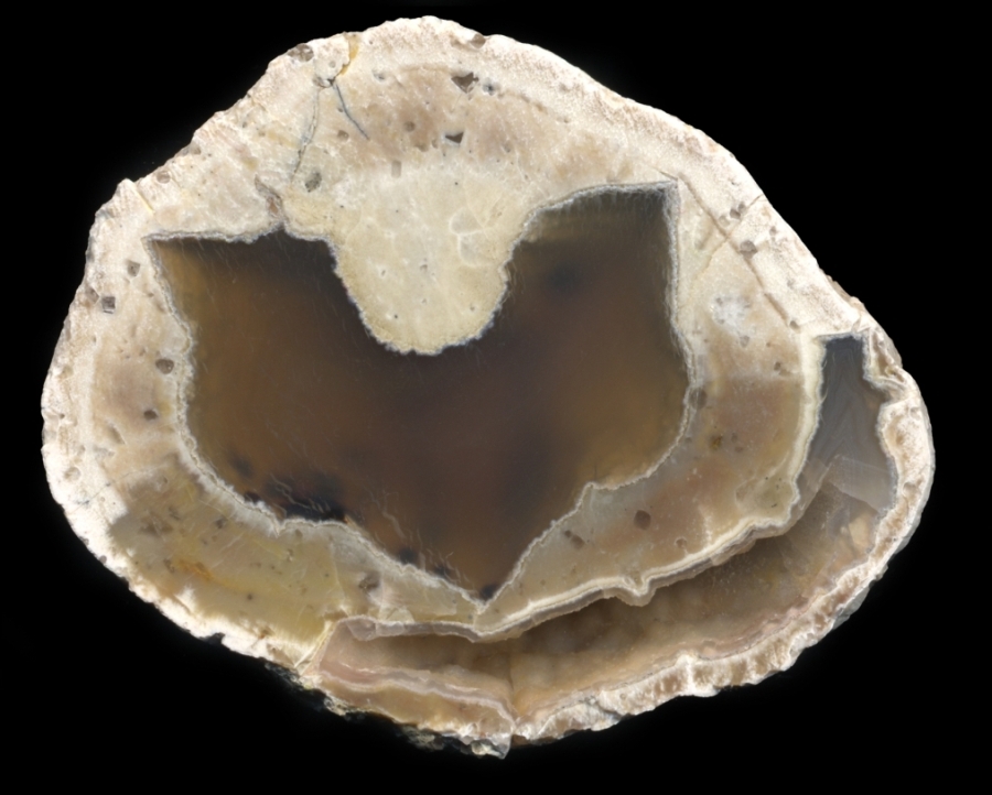 T&T Thunderegg