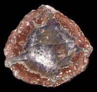 Gottlob Thunderegg