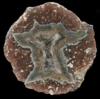Gottlob Thunderegg