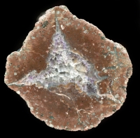 Gottlob Thunderegg