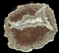 Gottlob Thunderegg