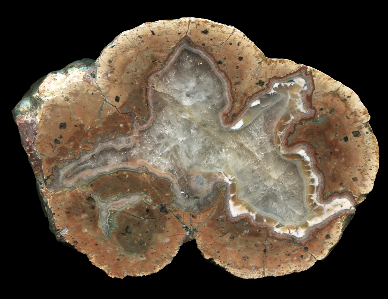 Brown Form of Nesselhof Thunderegg with Crystal