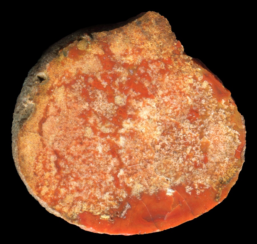 Small Complete Ayrshire Agate With Moss/Mineralisation