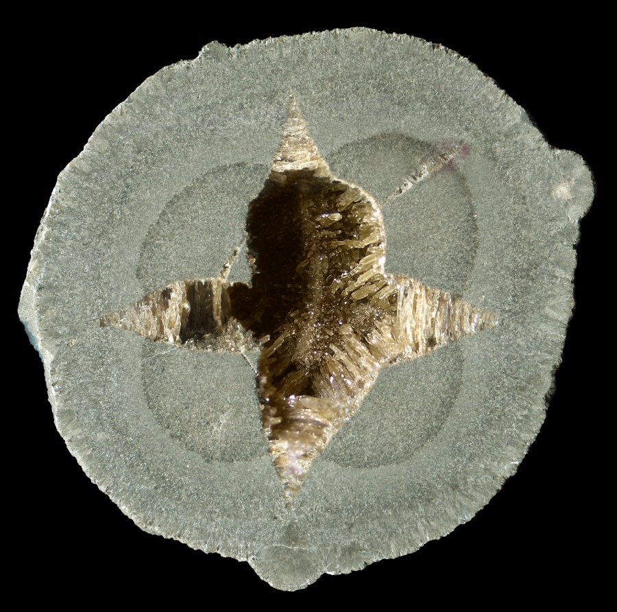 Four-Point Drome Septarian with "Lucky" Cloverleaf Pattern
