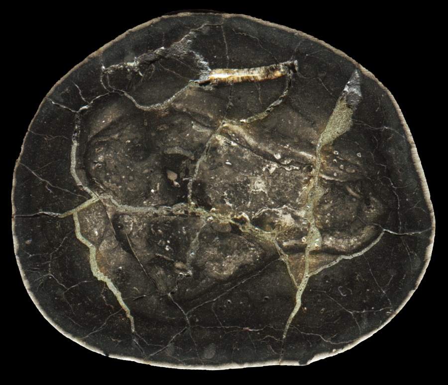 Septarian Nodule from Morocco