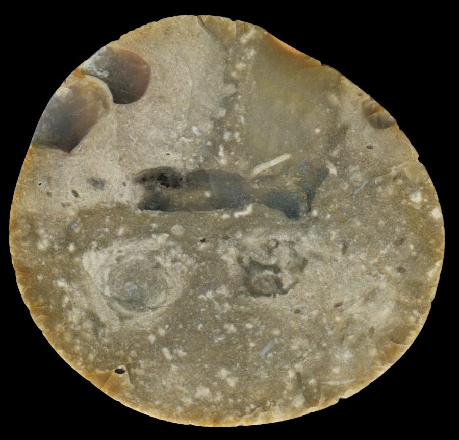 Classic Brown Textured Flint from Pevensey Bay