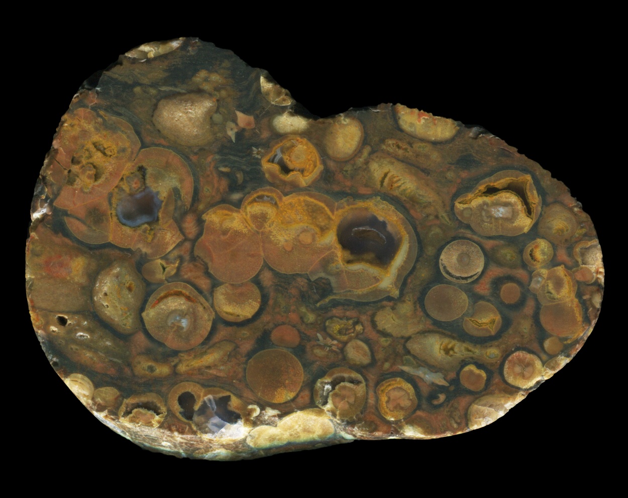Black Sea Spherulitic Conglomerate