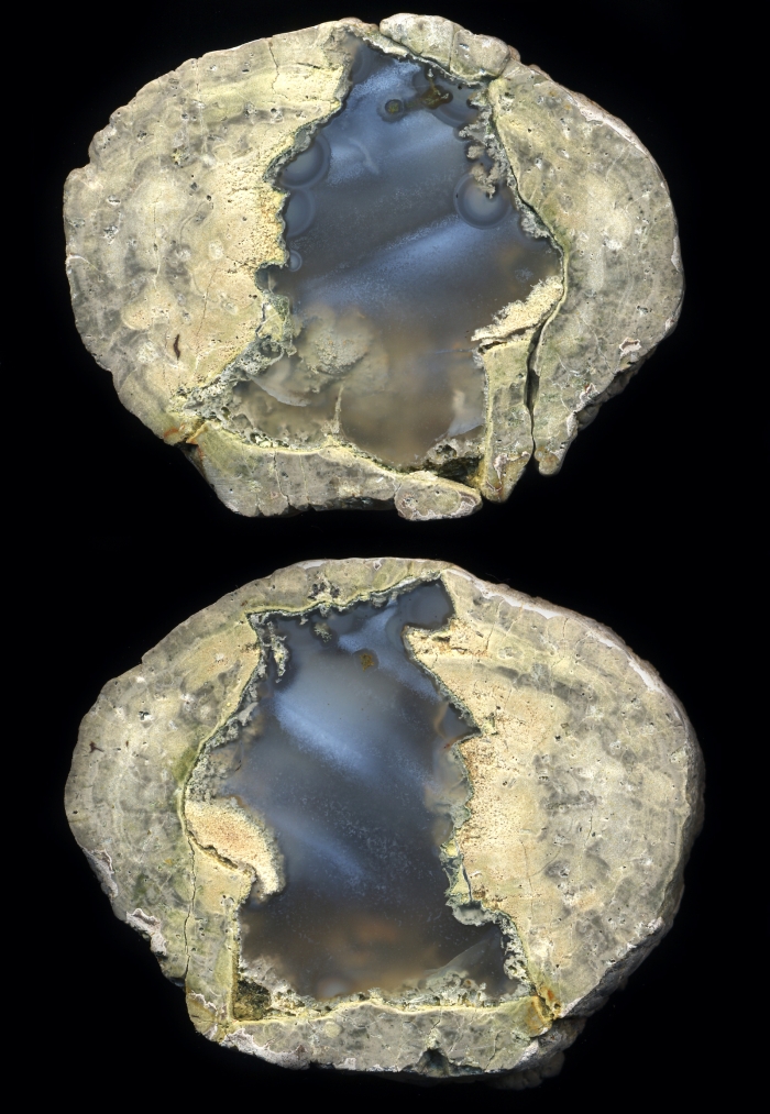 Fallen Tree Thunderegg