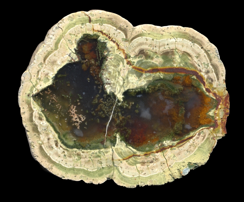 Fallen Tree Thunderegg