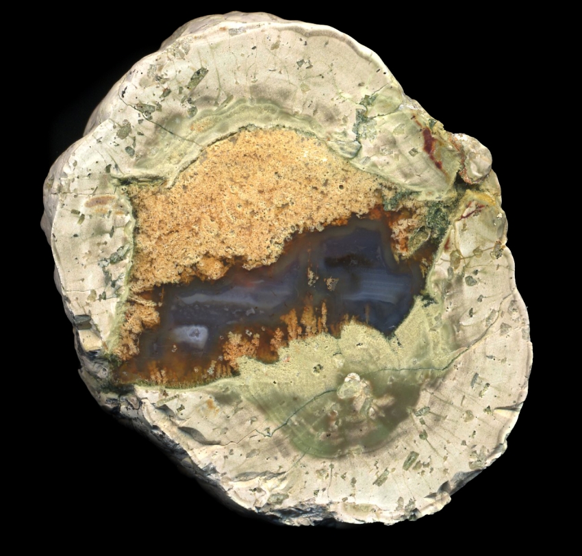 Fallen Tree Thunderegg