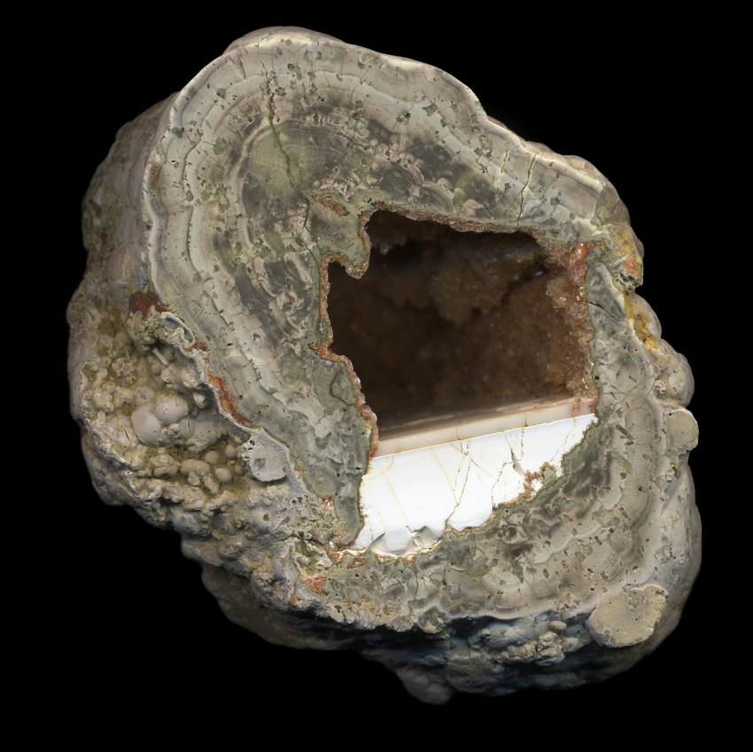 Fallen Tree Thunderegg