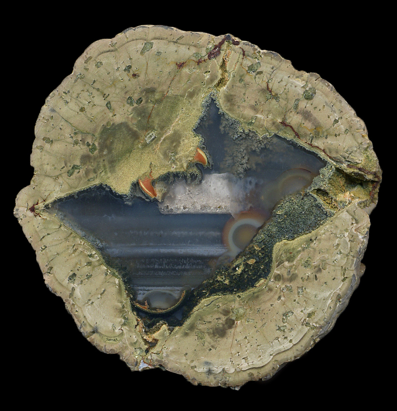 Fallen Tree Thunderegg Pair with Orbs