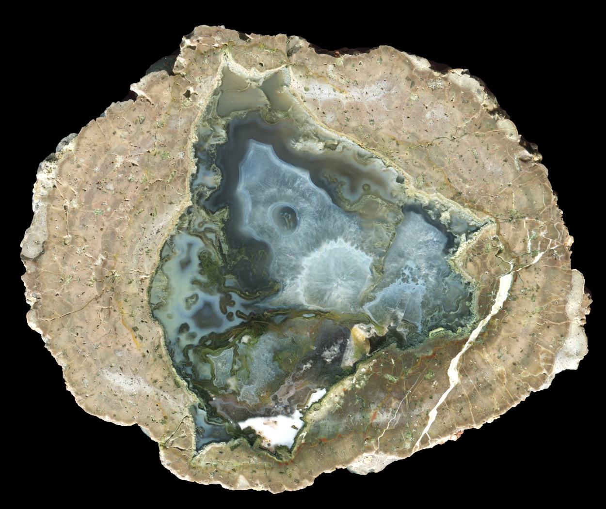 Fallen Tree Thunderegg with a Complex Core of Moss and Crystal